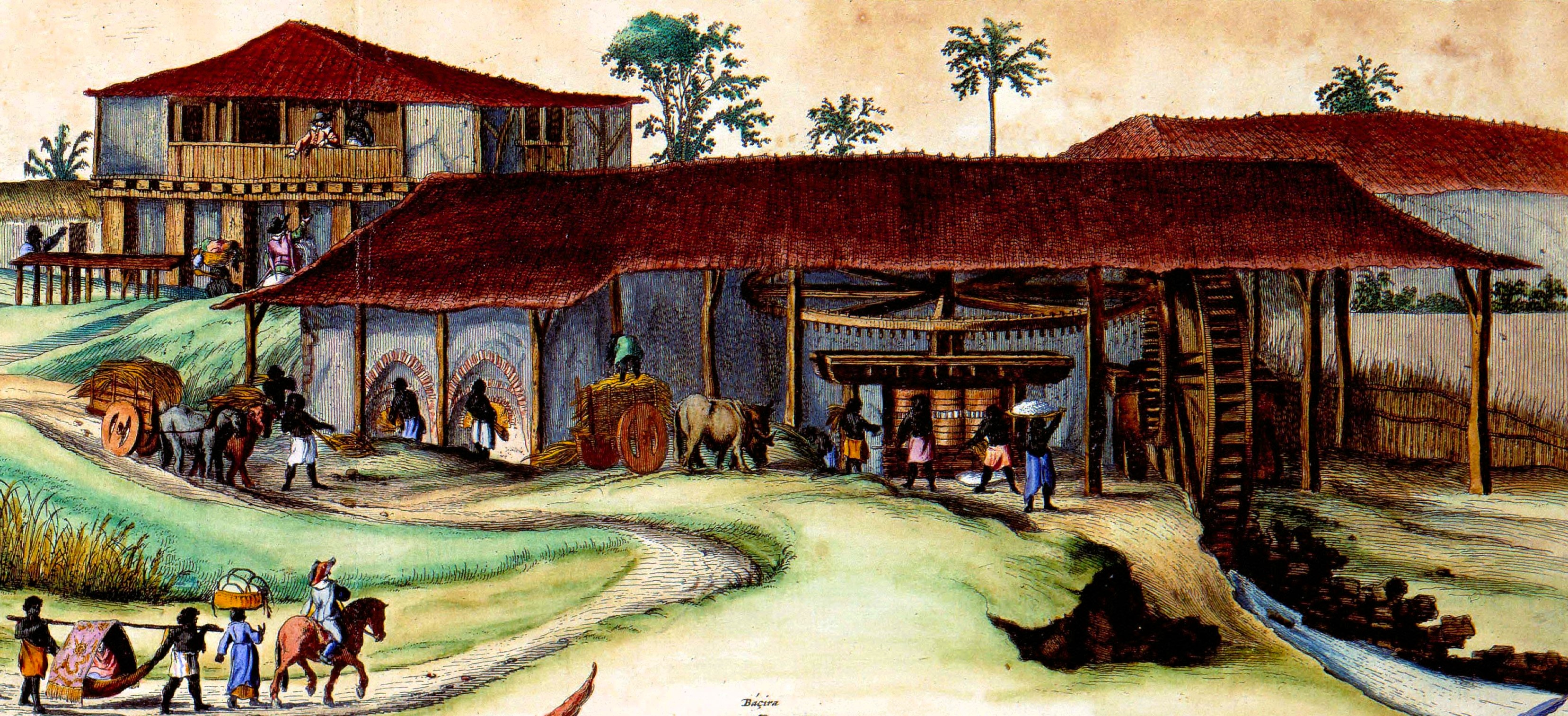 Gravură din 1643 care arată oameni înrobiți lucrând într-o plantație olandeză de trestie de zahăr din Pernambuco