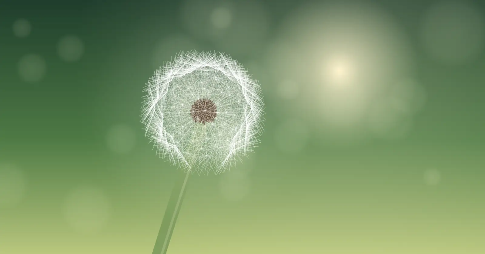 A dandelion seed head against the light in a green meadow.