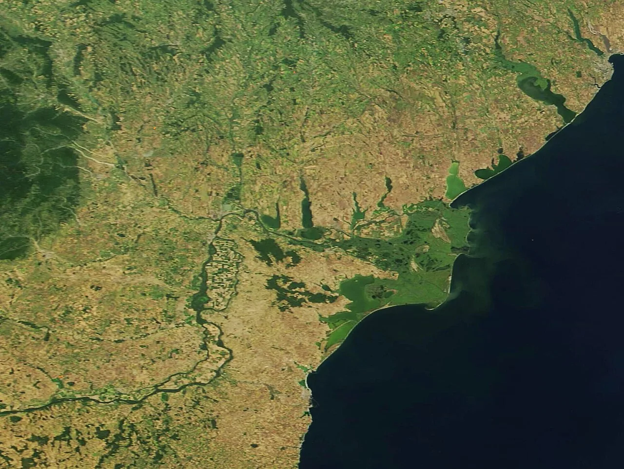 Delta Dunării văzută din satelit, cu cele trei brațe desfăcute spre mare