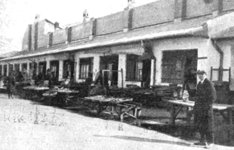 Pescăriile din piața Obor în 1930: tarabe cu pește și vânzători