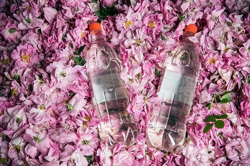 Rosewater distillation at Meymand, Iran — “like rosewater”, as al-Kindi wrote.