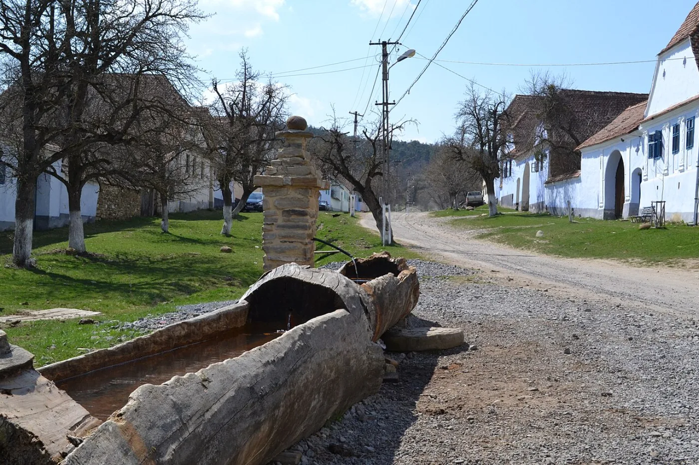A street in Viscri, a village in Bunești commune, April 2015.