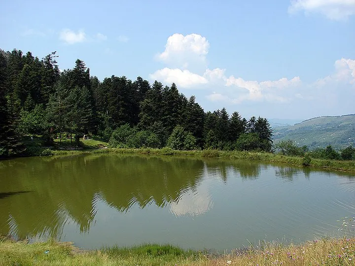 Tăul Brazi, lac artificial de munte: oglindă verde între brazi.
