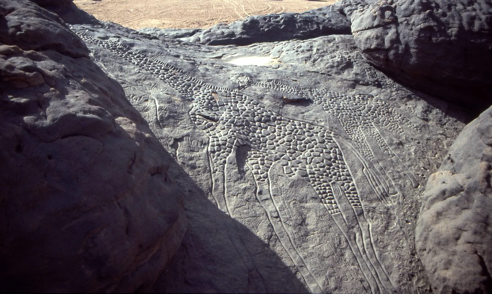 Two giraffes engraved into a pale sandstone outcrop in the Niger desert; the larger stands in front of a smaller one.