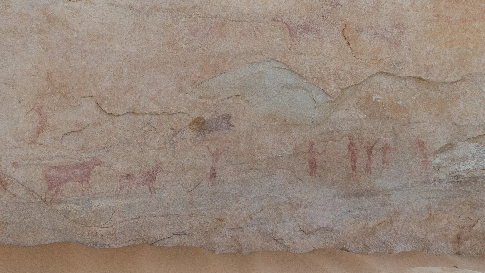 A rock-shelter painting of cattle and herders in warm ochre and white.