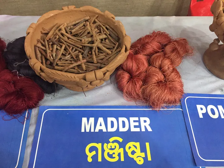 Madder roots and red-dyed wool.