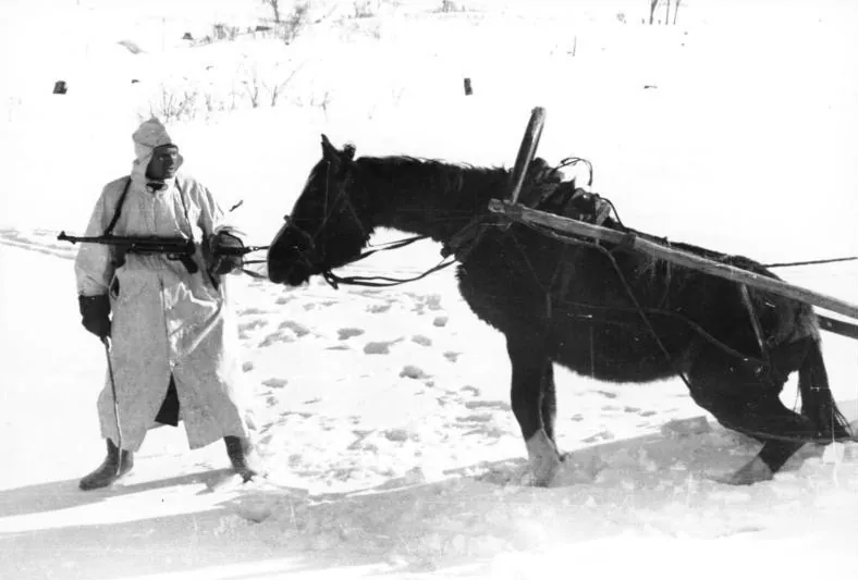 Black-and-white photograph: a soldier in a white winter smock leads a dark horse harnessed to a sledge across snow.