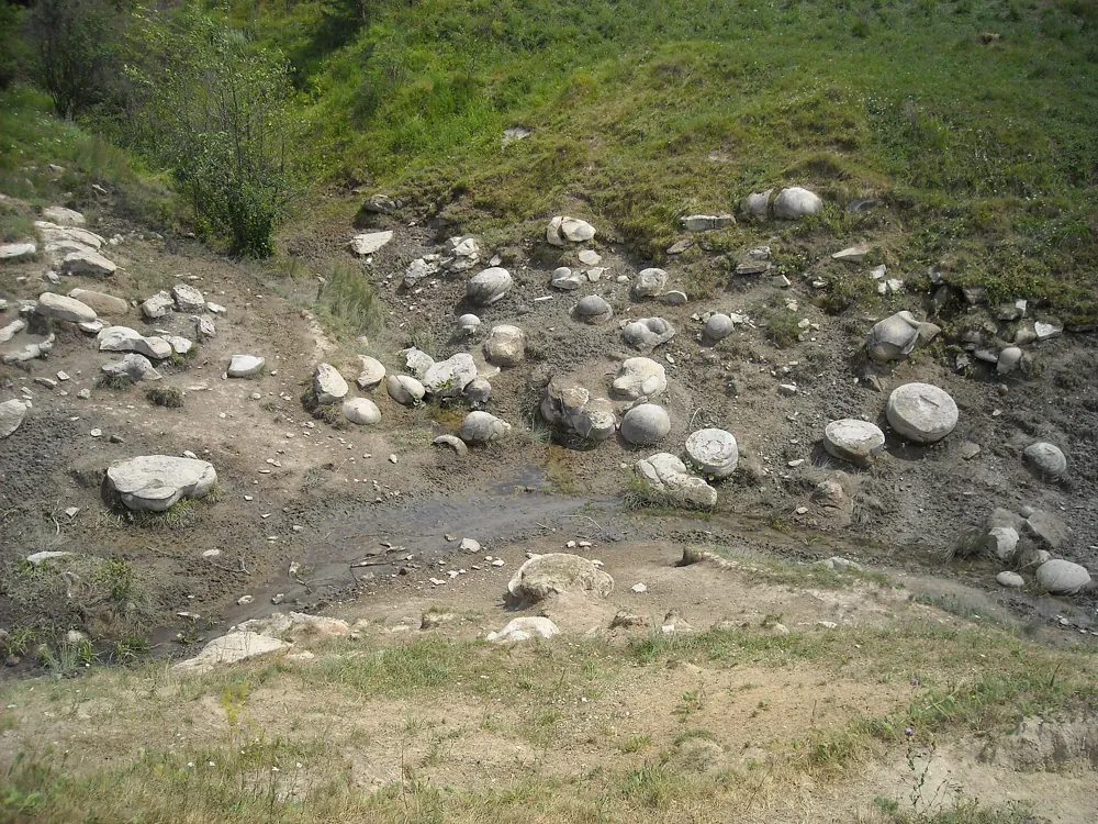Zeci de pietre rotunde, albe, ieșite dintr-un taluz de pământ, printre ierburi.