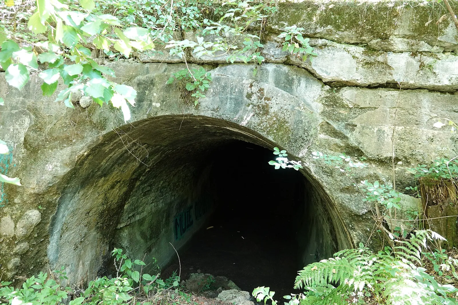Tunelul Diana, pe linia desființată spre Șinca Veche