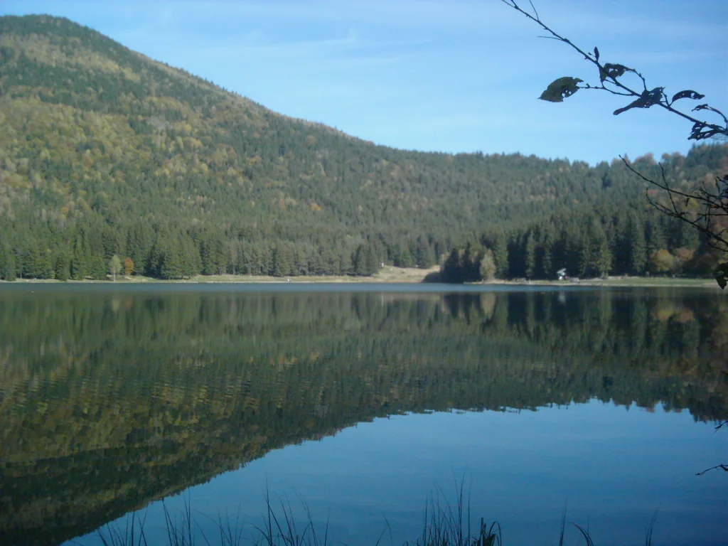 Lake Sfânta Ana, still as a mirror, with the forested crater slope reflected in the water.