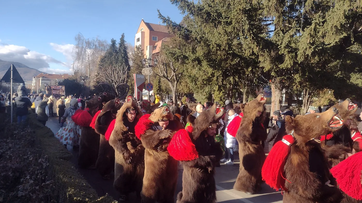 Cete de urși în blănuri, la Jocul ursului