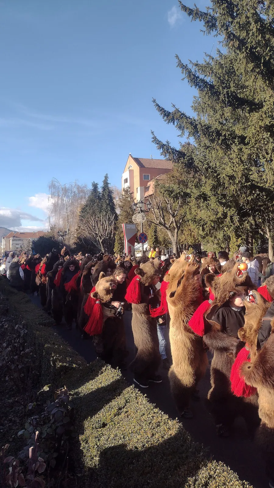 Dansator în blană de urs, de aproape
