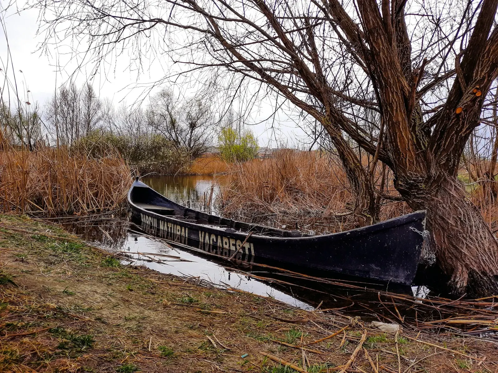 A boat pulled up on the bank, with “Văcărești” painted on its side