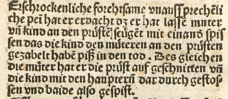 印本原文：Erschrockenliche forchtsame vnaussprechenliche pein hat er erdacht