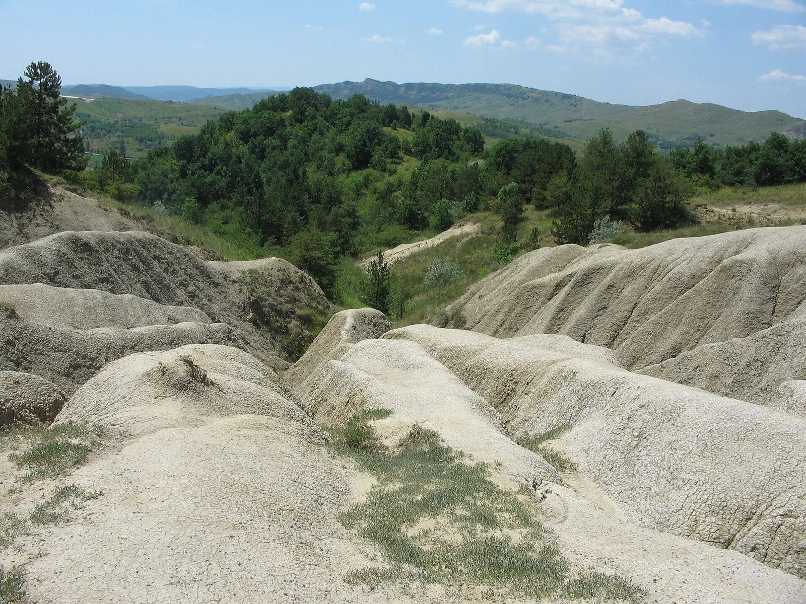The whitish mud-volcano plateau with small cones, seen from above, with green hills in the distance.