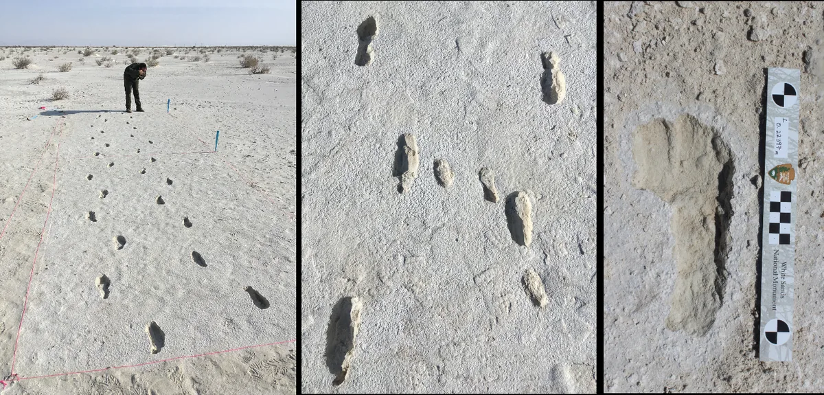Three photographs of human footprints in pale mud at White Sands National Park: a line of prints with a researcher photographing them, a group of adult and child prints, and one excavated print beside a scale bar.