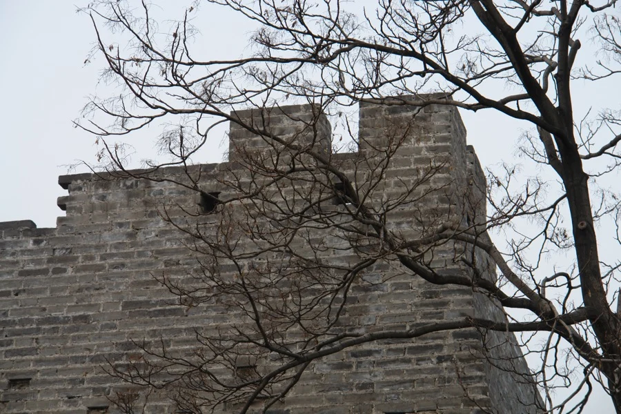 Battlements of the retained wall, photographed in 2007.